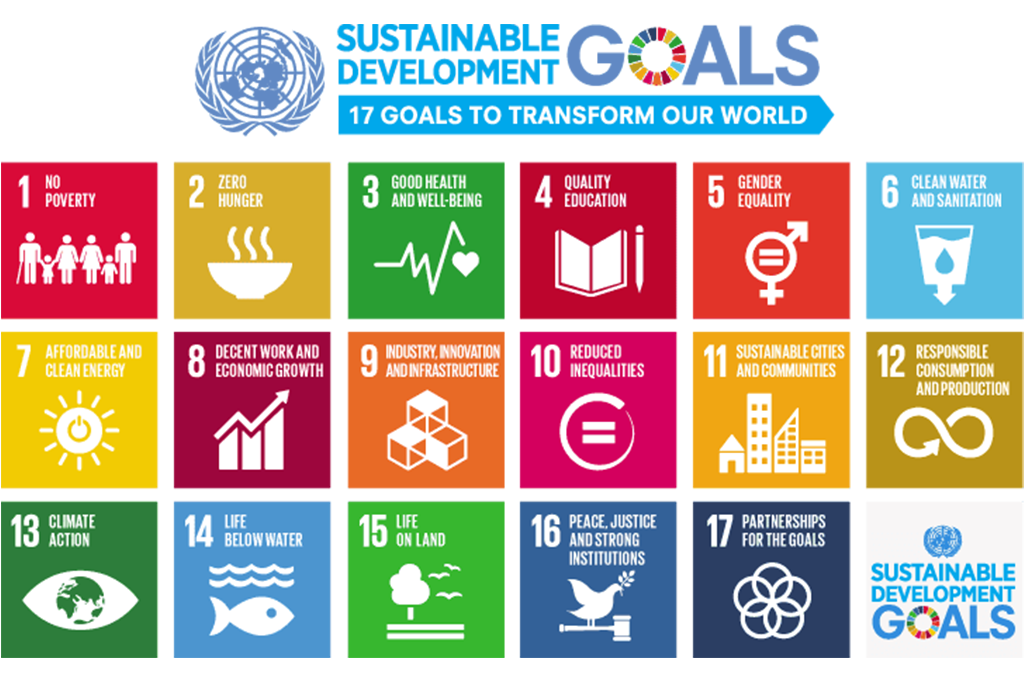 the 17 sustainable development goals were established by